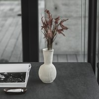 Skalva 貝光花器